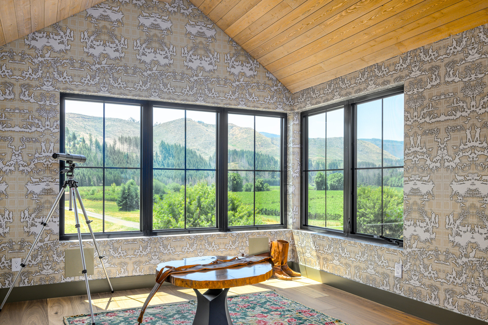 Whitewater viewing room